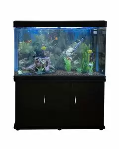 Aquarium Fish Tank & Cabinet with Complete Starter Kit - Black Tank & Natural Gravel - EU Plug